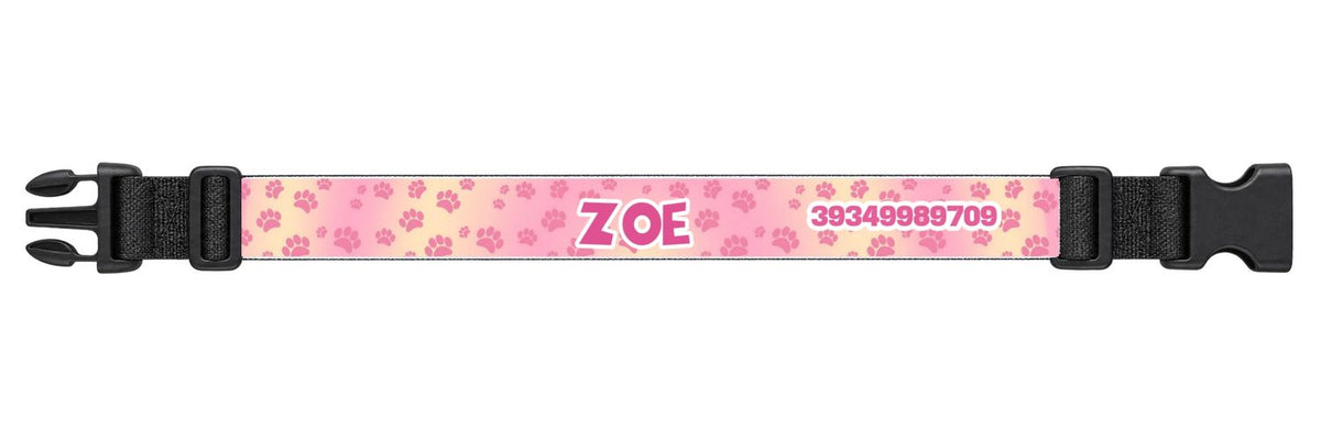 Collare Personalizzato con Nome e Numero customall